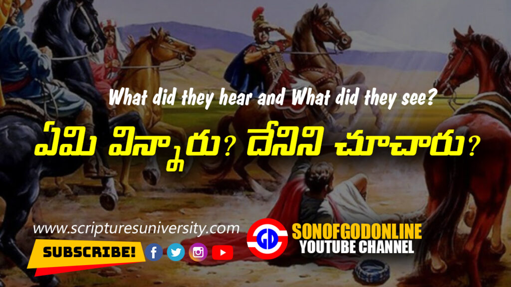 What did they hear and What did they see