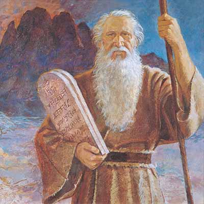 Sutotal Home Page_Moses