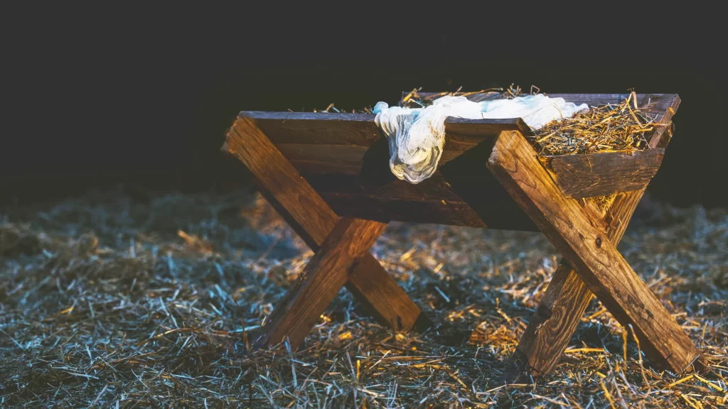 Prophecy in the birth of Jesus | యేసు జననములో ప్రవచనము