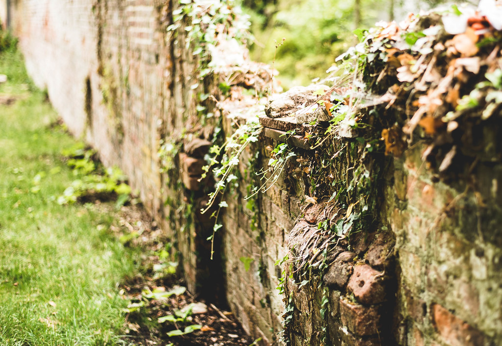 Field of the slothful | సోమరివాని చేను