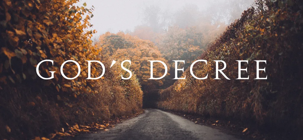 Who can cancel the decision of God? | దేవుని నిర్ణయమును భంగము చేయగలవారెవరు?