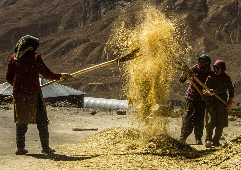 His Winnowing Fork is in His Hand | ఆయన చేట ఆయన చేతిలో