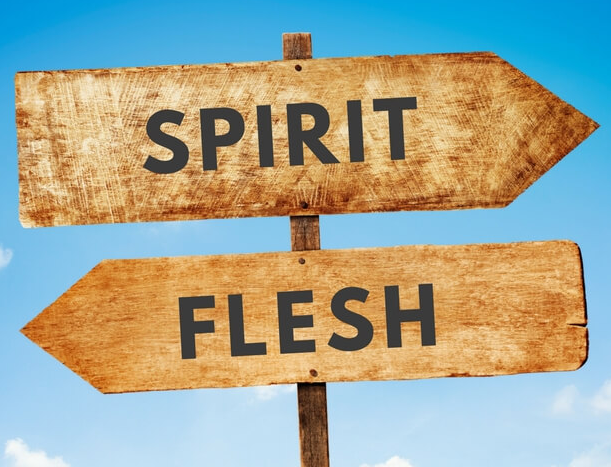 Followers of the Flesh and Followers of the Spirit | శరీరానుసారులు మరియు ఆత్మానుసారులు