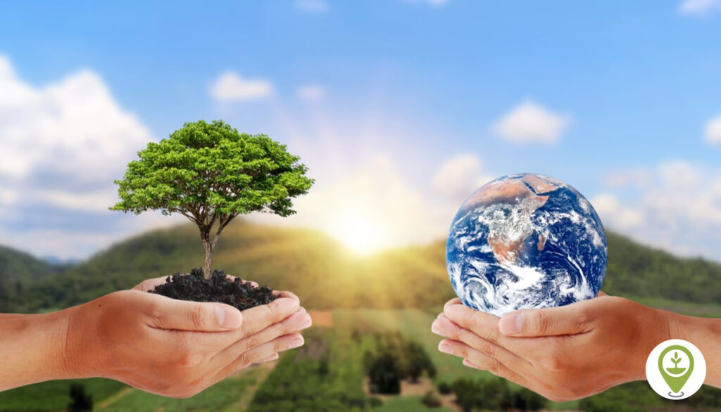 ప్రకృతిని కాపాడుటలో మరియు ప్రకృతిని పాడుచేయుటలో మన పాత్ర ఎంత What is our role in preserving nature and destroying it Sutotal