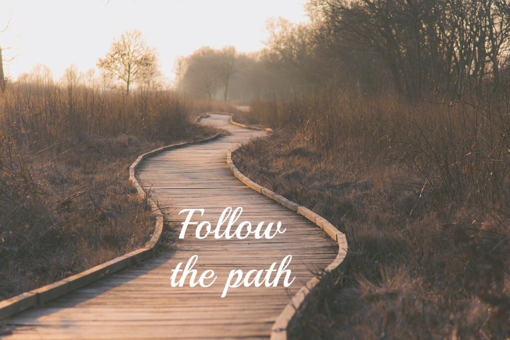 Manamu Vembadinchavalasina Maargamu మనము వెంబడించవలసిన మార్గము The path we have to follow Sutotal